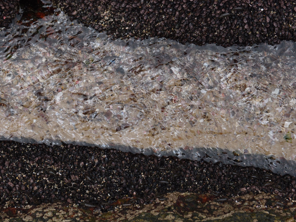 Praia de Itaquatiara